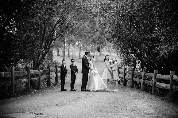 Wedding Photographer