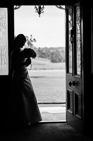 Wedding Photographer