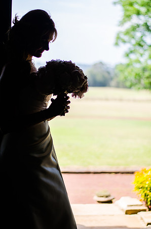 Wedding Photographer