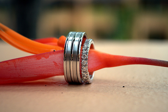 Wedding Photographer