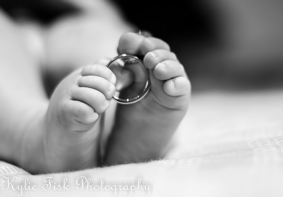 Wedding Photographer