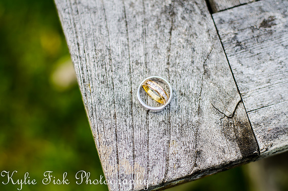 Wedding Photographer
