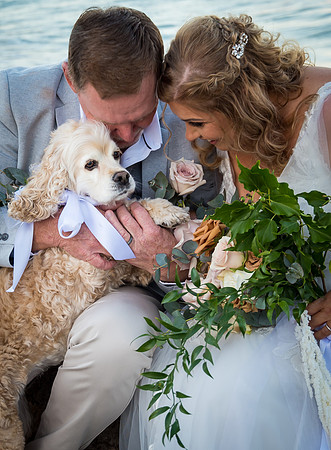 Wedding Photographer