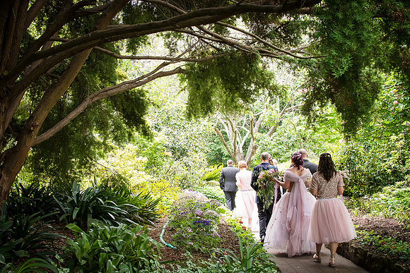 Wedding Photographer