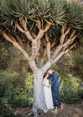 Wedding Photographer