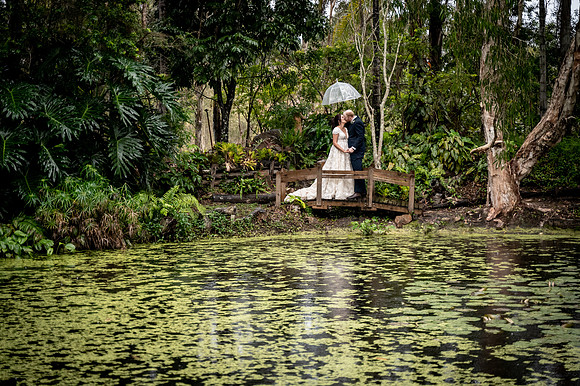 Wedding Photographer