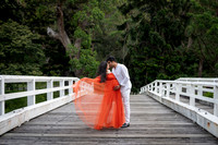 Maternity Photographer