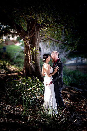 Wedding Photography